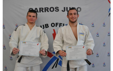 NOUVEAUX DIPLÔMES C.Q.P (Certificat de Qualification Professionnelle)